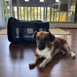 Brand new Sherpa small pet carrier, flight certified, never used